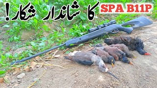 Moorhen And Istilt Bird Hunting 2023Snowpeak B11P Airgun Huntingairhunter Pk