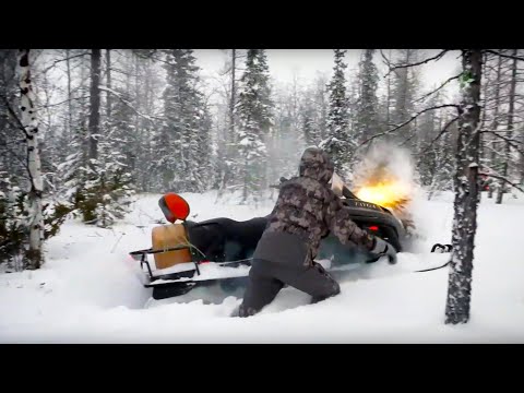 Видео: Експресионни профили на дълги некодиращи РНК и месинджър РНК в граничната зона на миокарден инфаркт при плъхове