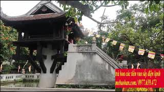 Hướng dẫn đường đi đến Chùa Một Cột (2021) – Viet Fun Travel