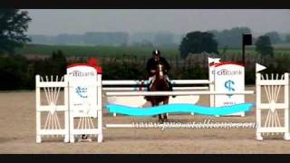 Horses - Supermassive Black Hole