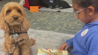 Pleasanton's Paws to Read program encorages reading by having kids read to service dogs