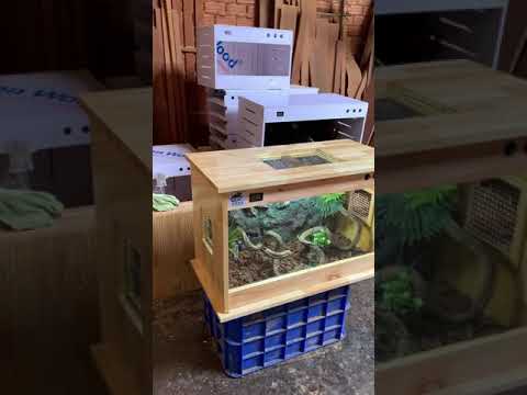 Video Chuồng Bò Sát Gỗ Láp Ráp Full Setup | Ngang 80 Cao 50... - youtube