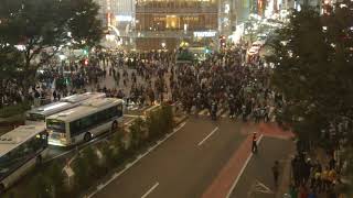 Shibuya Crossing #1
