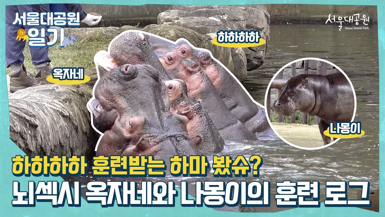 ‘하하하’ 보고 있으면 웃음이 절로 나는 옥자와 나몽이의 해피 타임! | Happy time of Okja and Namong