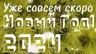 Совсем скоро Новый Год 2024 - В Новогоднюю ночь ждем мы новых чудес!