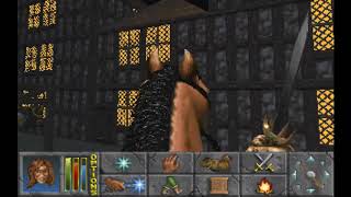 Daggerfall No Fast Travel Part 10 - Greenwing Tower