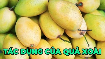 Tác dụng của xoài, ăn xoài có nóng không? - Kênh Hướng Dẫn