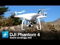 Дрон Phantom 4 на службе у портала ecology.md