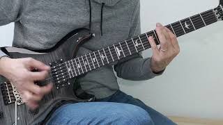 Iron Maiden | Wasted Years | Guitar Cover