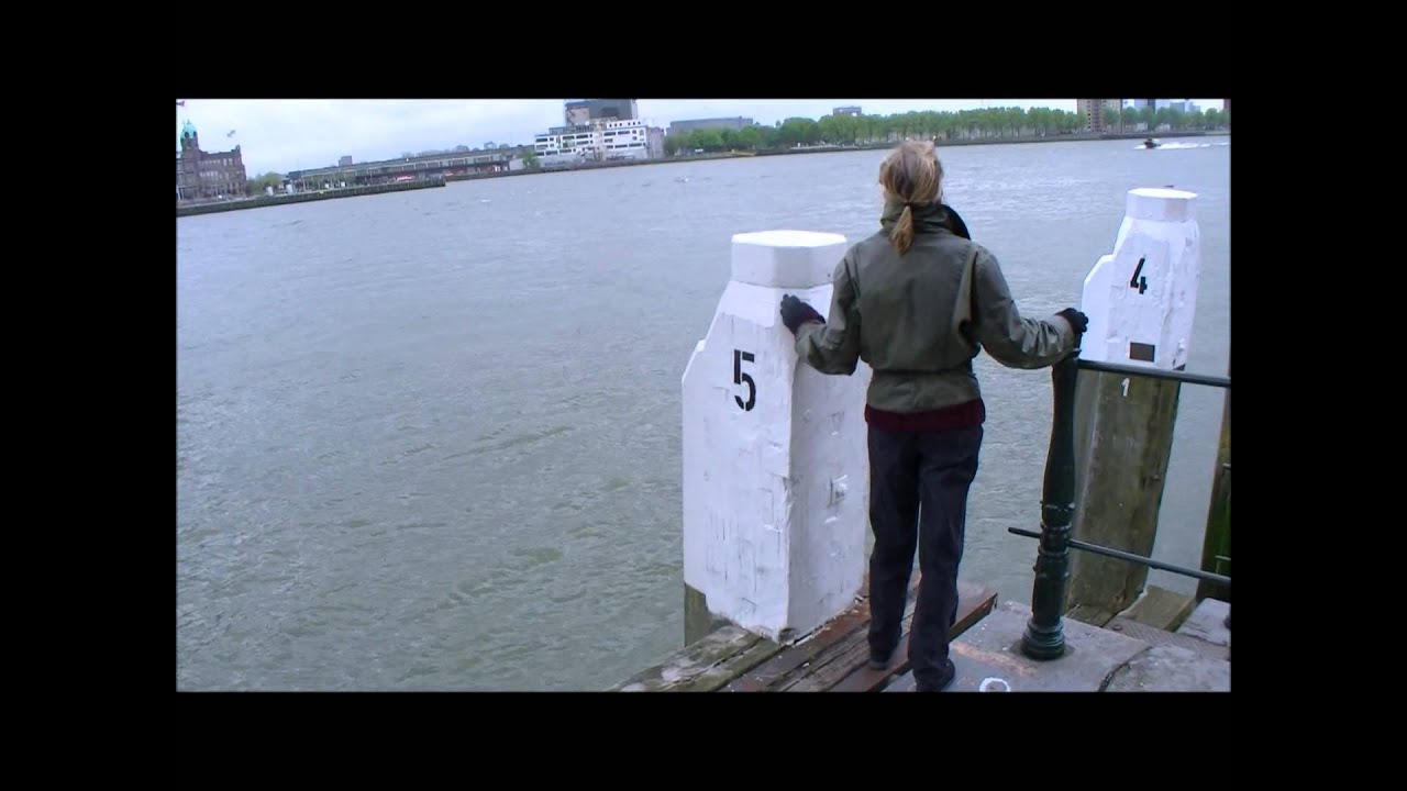 Warnow by The Cruel Horizon