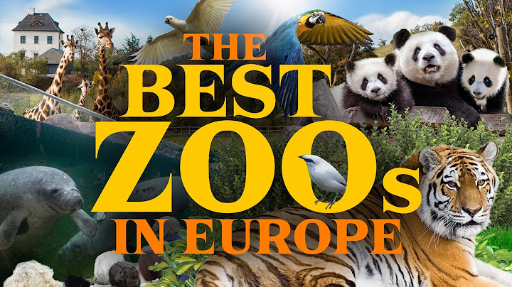 The Top 10 best Zoos in Europe! (2024)