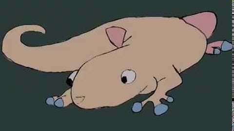 Transdifferentiation