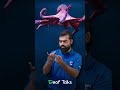 G K facts - Female Octopus