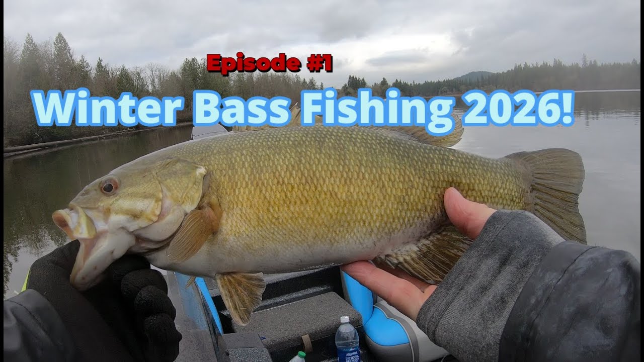 Catching Bass in the Winter!