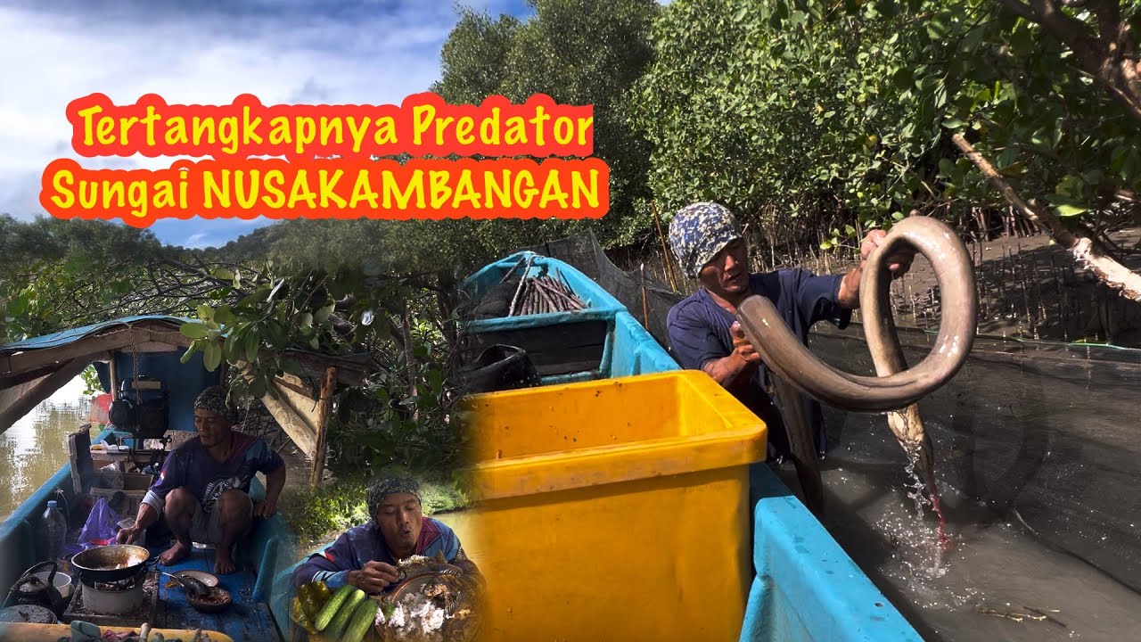 Rejeki Melimpah 2Hari 1Malam Pasang Perangkap Sambil Mancing Hasilnya Langsung Masak