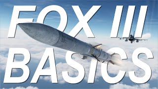 DCS: F16 FOX 3 BASICS (RWS/TWS)