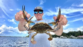 Giant Blue Crabs in Fresh Water! (Catch & Cook)