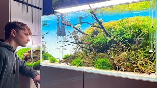 18 YEAR OLD STUDENT AND HIS AMAZING AQUASCAPES!!