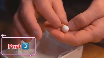 The Smallest Bird 🦜 you