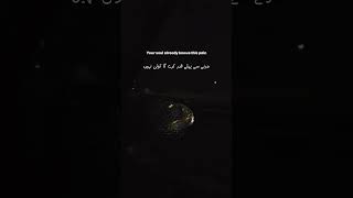 This Poetry Will Cut Deep (Voiceover) 🖤 #urdupoetry #sadpoetry #poetry #emotionalpoetry #shayari