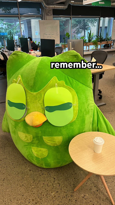 we all come from humble beginnings (except me) #duolingo #languagelearning #owl #therain
