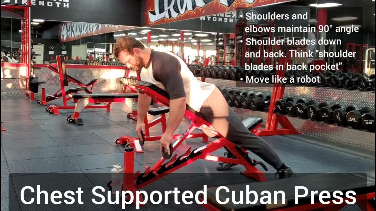 Chest Supported Cuban Press YouTube