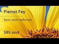 Pierrot Fey - Sein Joch nehmen (SBS - 02.08.18 - 20 Uhr - Die Taube Heidelberg)