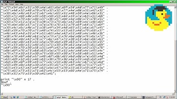 How to add payloads to an exploit - Deep dive into exploit writing (exploit development)