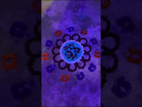 Diwali Celebration
