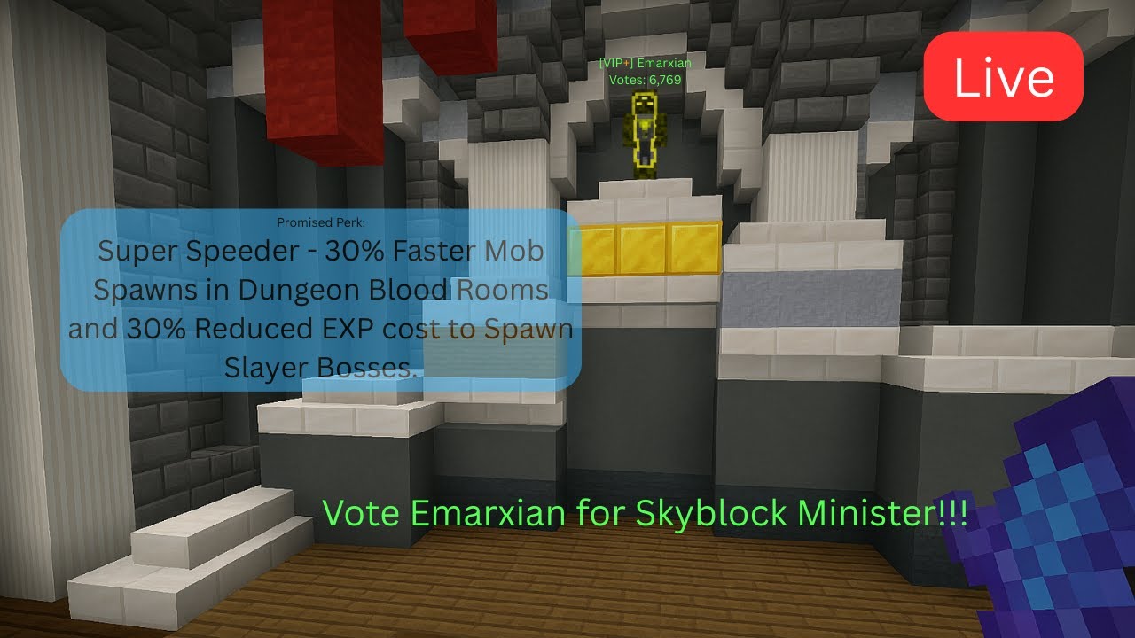 Hypixel Skyblock - Fun