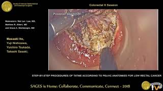 Step-By-Step Procedures Of Tatme According To Pelvic Surgical Anatomies For Low Rectal Cancer