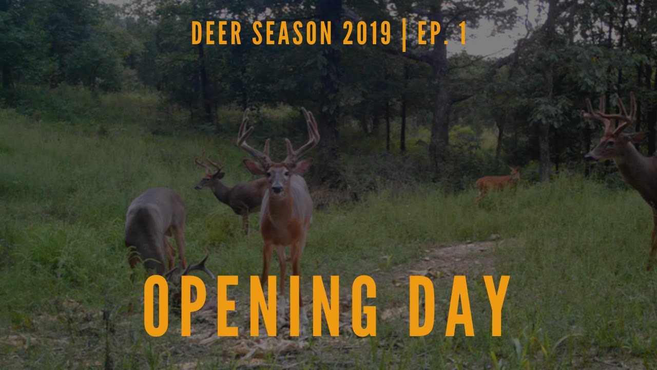 OPENING DAY DEER SEASON 2019 YouTube