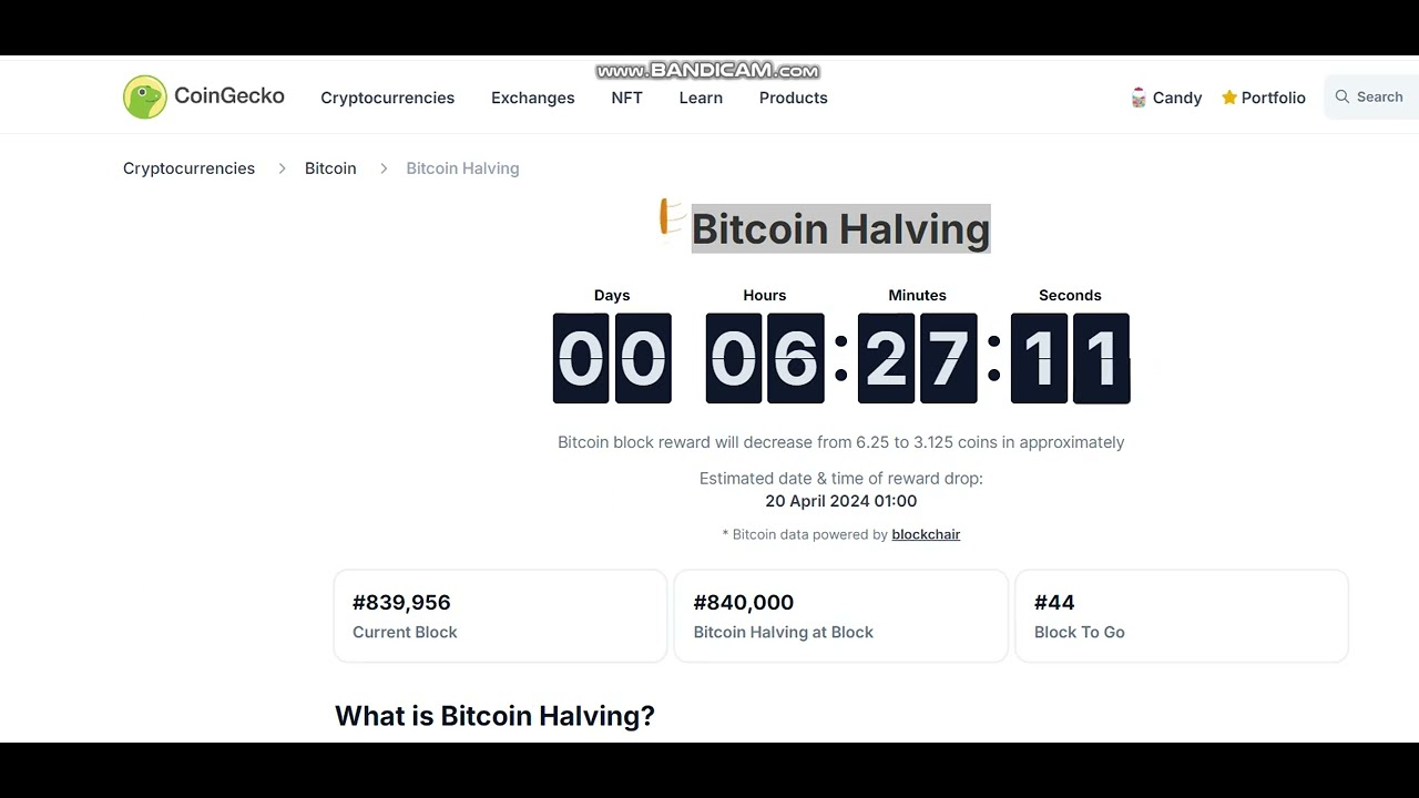 Bitcoin Halving 6 hours - Bitcoin BTC TIME NEWS crypto