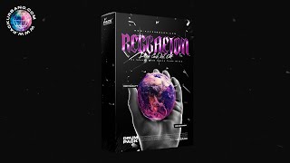 REGGAETON Drum Pack Vol. 04 | Librería de Reggaeton | DRUM PACK 2026