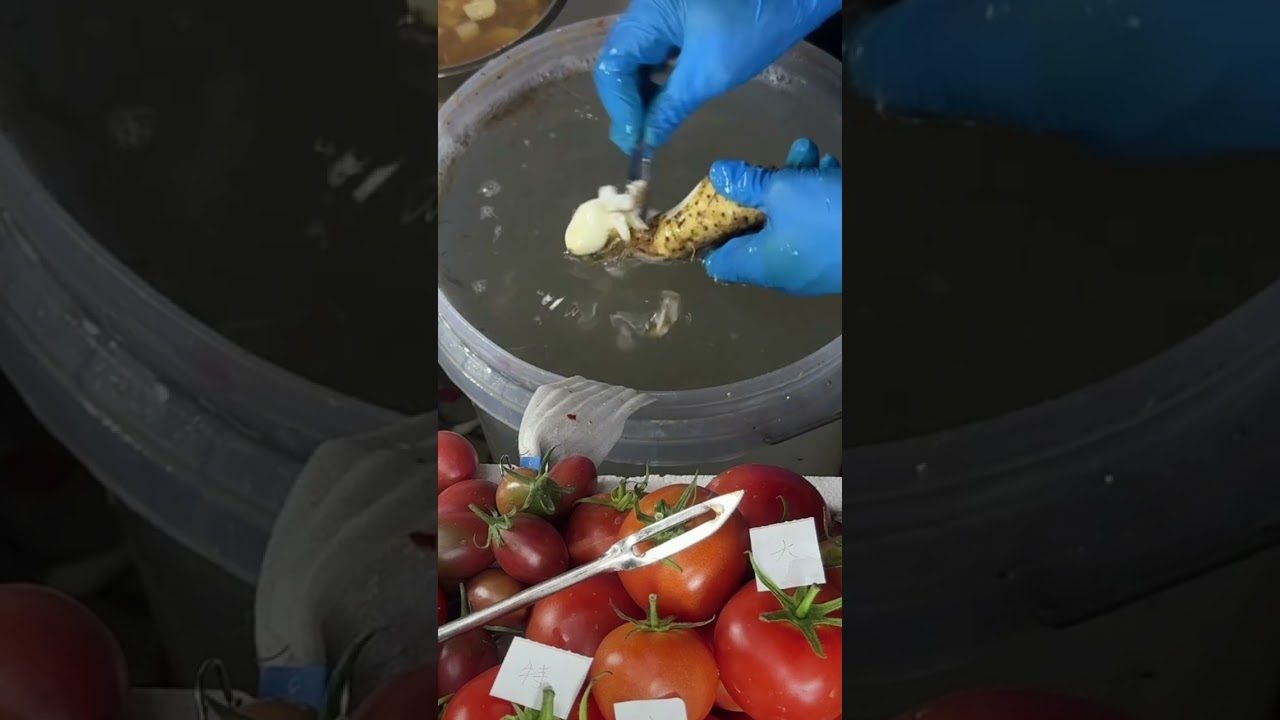 🔴👉Peeling Chinese yam — soothing & stress-relieving