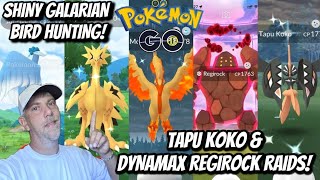 ✨️Shiny Galarian Bird Hunt, Dynamax Regirock,Tapu Koko Raids And MORE In Pokémon Go!✨️‼️LIVE‼️