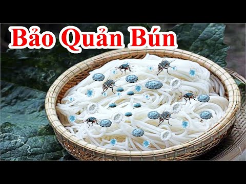 Bún Gạo Hay Bị Hư Chua Đừng Bỏ Phí Lắm ! Tôi Sẽ Giúp Bạn Cách Bảo Quản Bún Không Bị Hư Không Chua