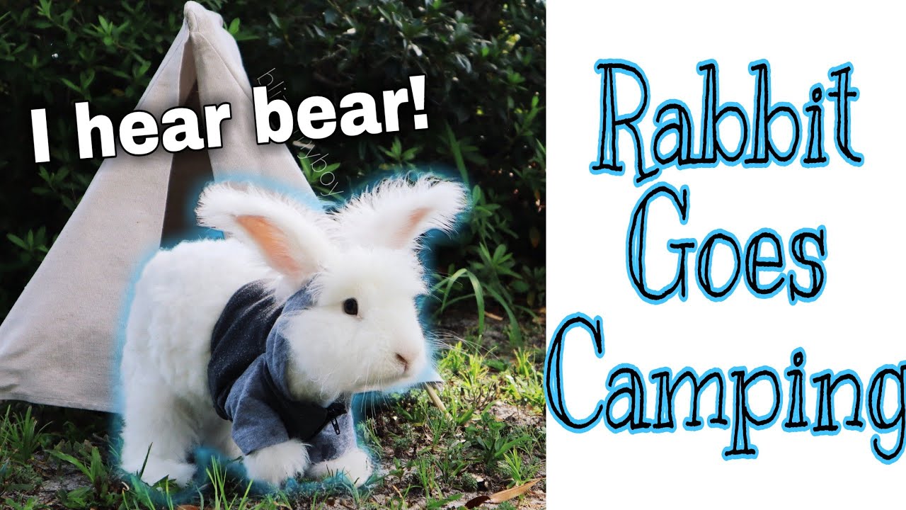 Rabbit Goes Camping - YouTube
