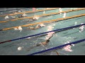 Albion swimmings