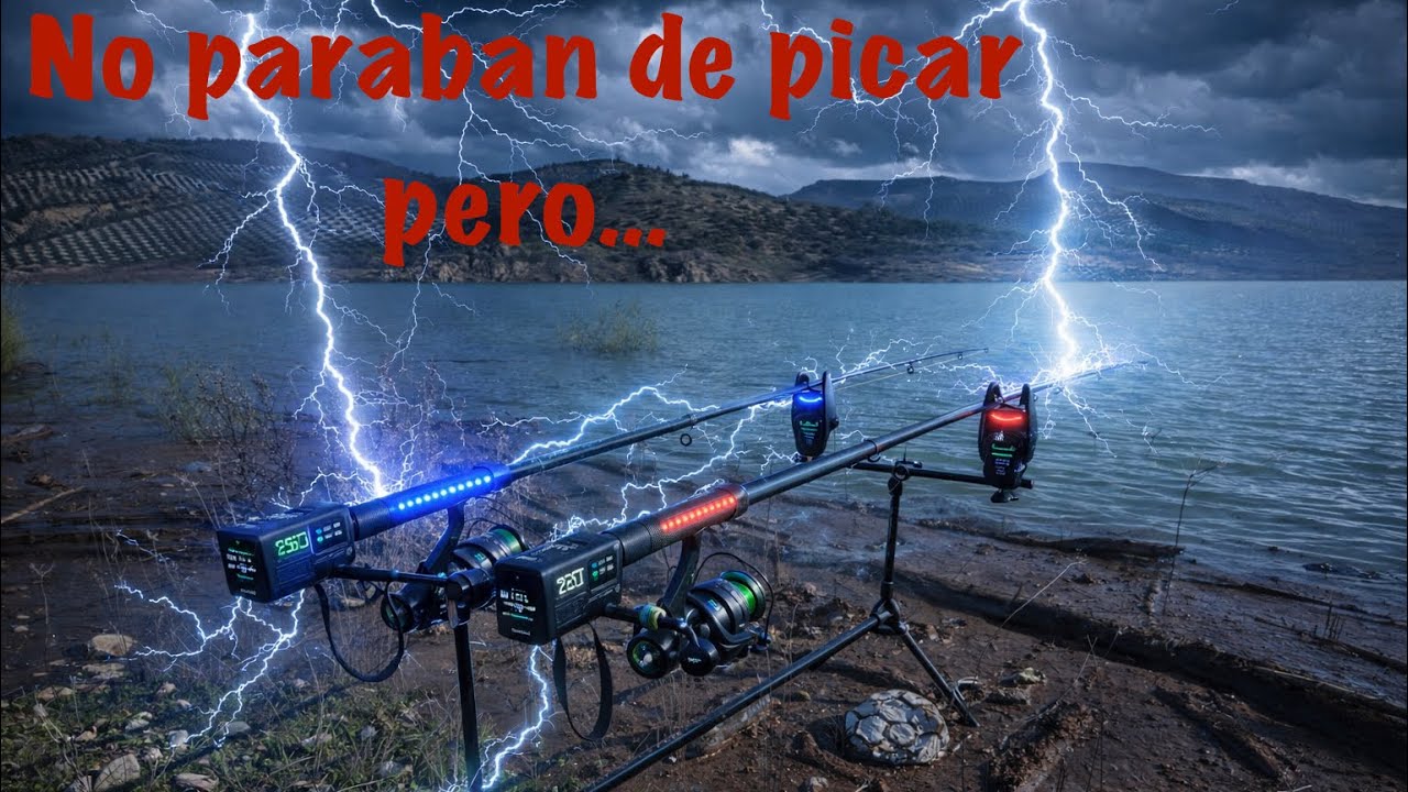 Carpfishing Granada - Embalse de Iznájar - pesca con feeder 