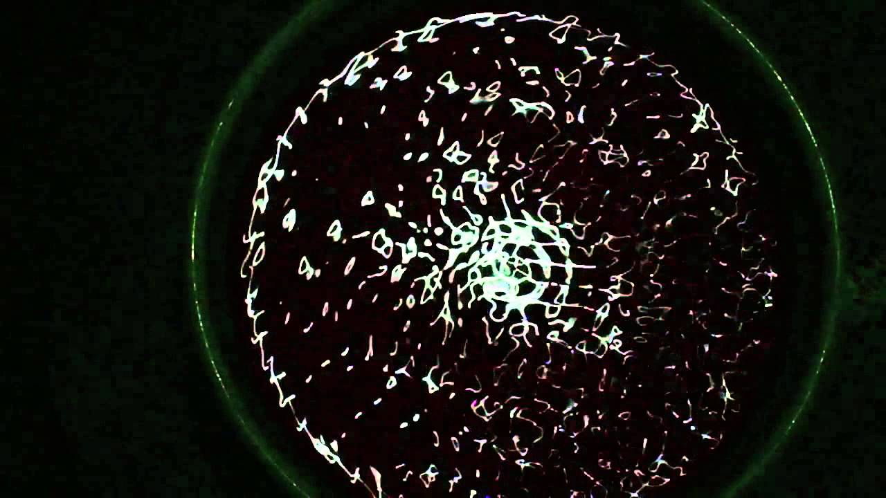 Cymatics - Water and Sound ::: Cimática - Agua y Sonido