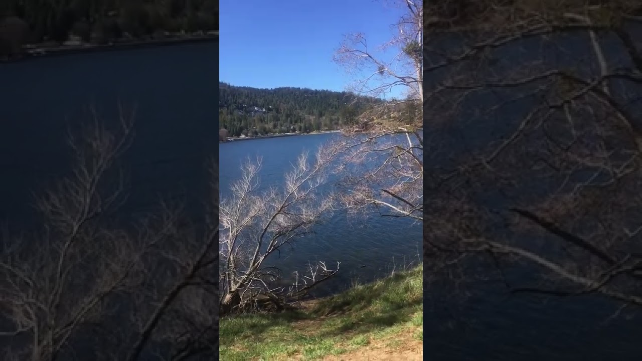 From my summer bench at Lake Gregory winter Emees BD  2022