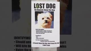 Who is the owner? #funnymeme