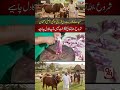 The Real Eid Begins After Sacrifice | Powerful Message for Muslims