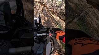 GPS Short Cut с Yamaha Tenere 700 😎🔥 #riding #offroad #bikelife #gopro
