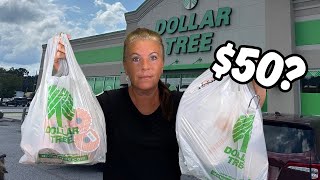 Dollar Tree Price Increases! (What will $50 get you now?)