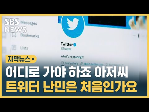 트위터 난민들 어디로 대안 SNS 급부상 자막뉴스 SBS 