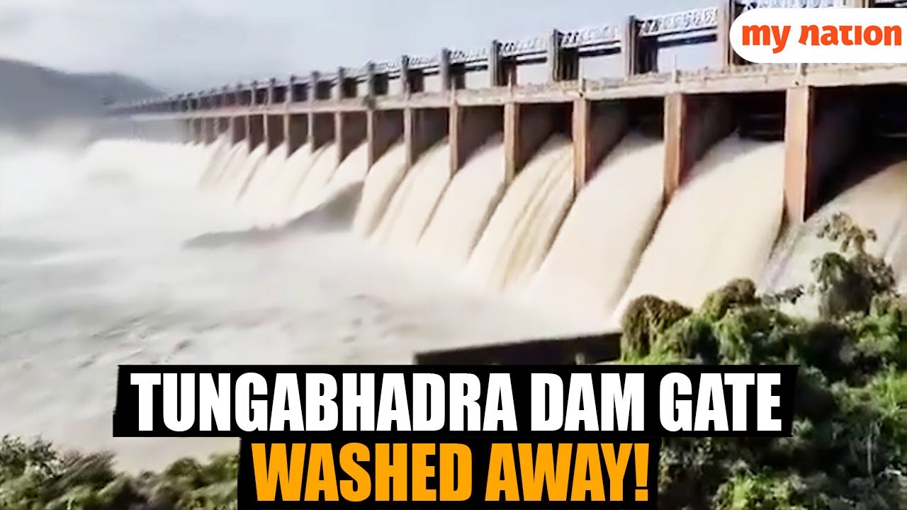 Watch | Karnataka's Tungabhadra Dam Gate Washed Away, Flood Alert Issued
