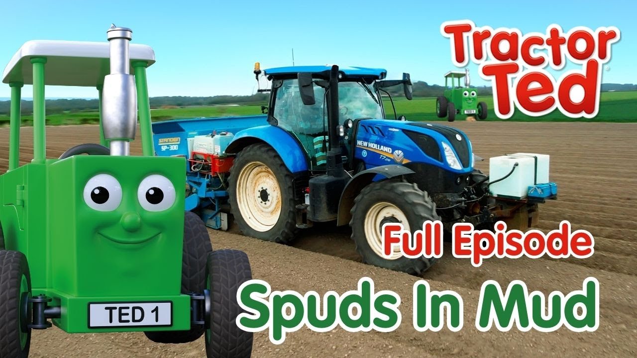 Картошки в грязи 🥔 Трактор Тед. Полная серия | Большие машины и тракторы для детей