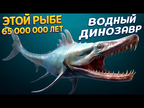 ДИНОЗАВР РЫБА КОТОРОМУ 65 000 000 ЛЕТ ( Feed and Grow: Fish )